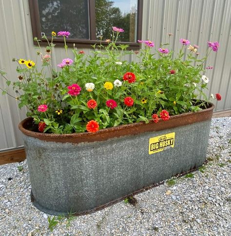 Front Porch Landscape, Land Scaping, Container Gardening Flowers, Flower Pots Outdoor, Farmhouse Garden, Wildflower Garden, Garden Containers, Garden Yard Ideas, Container Flowers