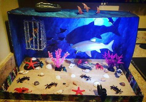 Clayton's shark habitat box / diorama Shark Habitat Project, Shark Habitat Project For Kids, Shark Habitat Diorama, Ocean Diorama Project, Sea Animal Diorama, Shark Diorama School Projects, Diorama Ideas For Kids Ocean, Ocean Habitat Diorama, Shark Diorama