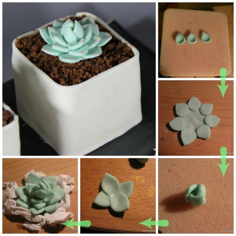 Collection of tutorials: how to make sugarpaste or fondant ... Flowers Fondant, Cactus Indoor, Winter Torte, Succulent Cake, Fondant Flower Tutorial, Garden Cactus, Indoor Cactus, Torte Cupcake, Gum Paste Flowers