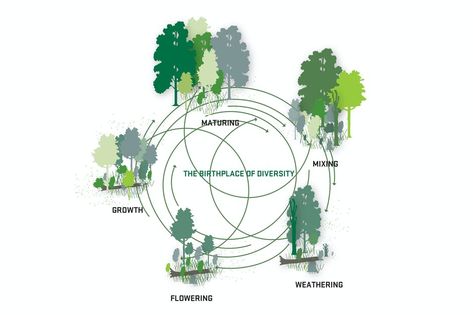 Hans Tavsen’s Park and Korsgade — Sla Landscape Diagram, Sky Photoshop, Landscape Architecture Diagram, Group 8, Urban Design Diagram, Urban Design Concept, Site Analysis, Concept Diagram, Architecture Graphics