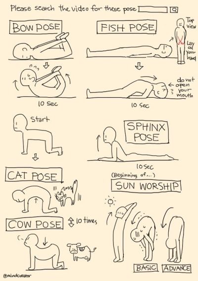 Trening Sztuk Walki, Sun Worship, Fish Pose, Bow Pose, Cow Pose, Back Stretches, Cat Pose, Daily Yoga, Stretching Exercises