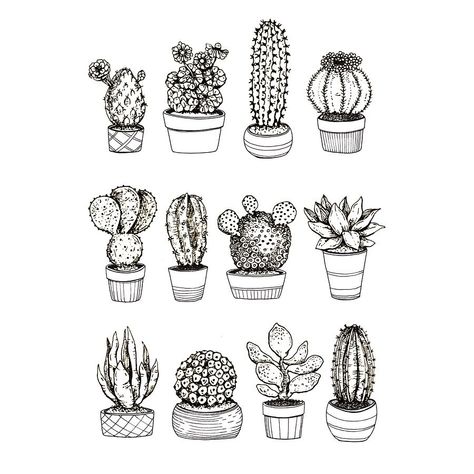 Succulent Drawings, Pointalism Art, Illustration Easy, Succulent Tattoo, Black Pen Drawing, Micron Pen Art, Succulents Illustration, Succulents Drawing, Ink Pen Art