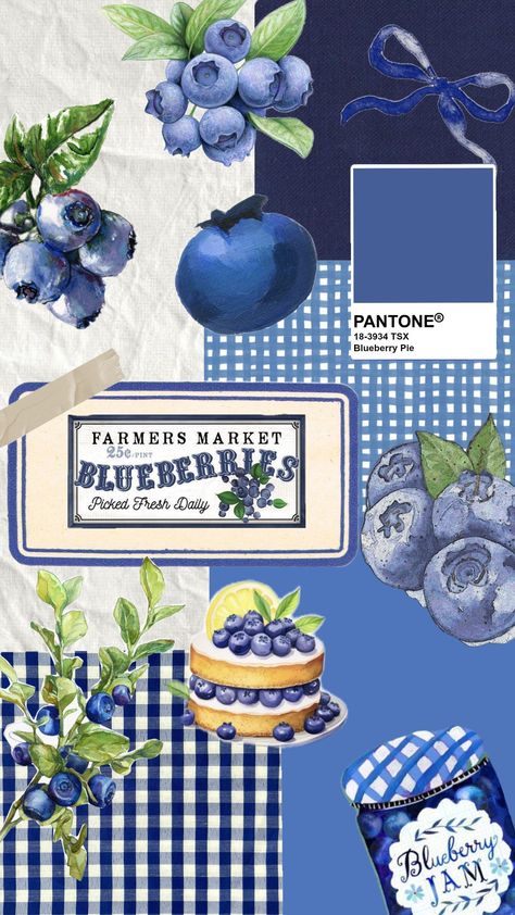 #blueberry #blueberries #blue #arandano #blueberryaesthetic Blueberry Photoshoot, Blueberry Aesthetic Wallpaper, Blueberries Wallpaper, Blueberry Background, Blueberry Squares, Blueberry Art, Blueberry Aesthetic, Vintage Blueberry, Blueberry Pattern