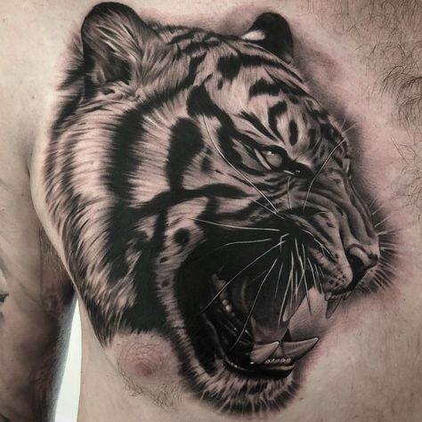 Lion Tattoos, Tiger Tattoo Design, Lion Tattoo Design, Chest Tattoo Men, Pet Tiger, Lovely Animals, Tiger Tattoo, Love Animals, Eye Tattoo