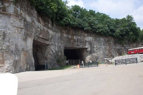 The Incredible Road Trip That Takes You To The Most Magnificent Caves In Kentucky Caves In Kentucky, Kentucky Caves, Louisville Mega Cavern, Underground Cavern, Land Between The Lakes, Kentucky Travel, Farm Show, Kentucky Girl, Red River Gorge