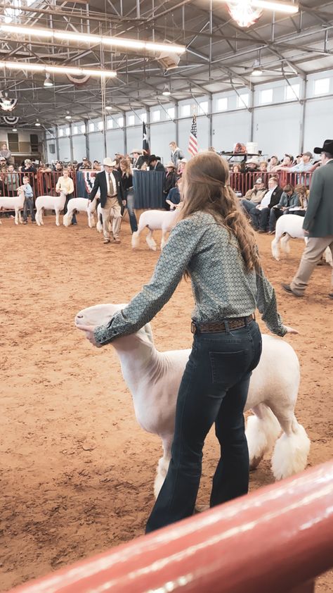 Live Stock Show Outfits, Showmanship Outfit Livestock, Sheep Showing Outfits, Livestock Show Outfits Sheep, 4h Outfits, Stock Show Outfits, Sheep Showmanship, Ffa Lamb, Livestock Show Outfits