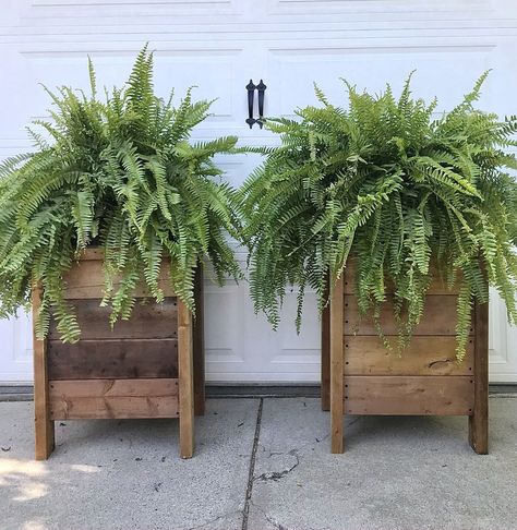 Planter Inspo Outdoor, Custom Planter Boxes, Large Flower Planters Outdoor, Diy Front Door Planter Boxes, Front Step Planters Entrance, Flower Planters In Front Of House, Cedar Planters Front Porches, Flower Box Front Porch, Diy Tall Wood Planter