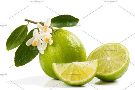 Bunny Illustration, Lemon Art, Avocado Tree, Lime Tree, Lemon Tree, Limes, Lemon Lime, Fruit Salad, Flat Lay