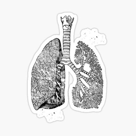 Respiratory System Stickers | Redbubble Respiratory System Drawing Aesthetic, Respiratory System Aesthetic, Med Stickers, Biology Aesthetic, Lungs Art, Human Respiratory System, Human Physiology, Medical Stickers, Human Lungs