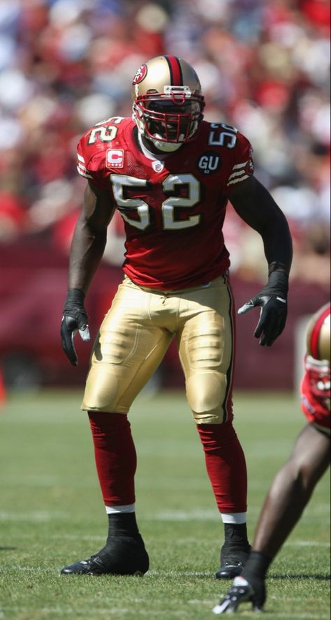 49ers Nation, 49ers Pictures, Patrick Willis, 49ers Players, San Francisco 49ers Logo, Nfl Football 49ers, Forty Niners, Nfl 49ers, Sf 49ers