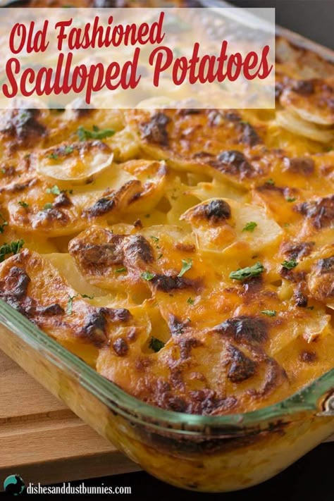 Old Fashioned Scalloped Potatoes, Scalloped Potatoes And Ham, Scalloped Potatoes Cheesy, Dust Bunnies, Scalloped Potato Recipes, Potato Side Dishes, Scalloped Potatoes, Thanksgiving Side Dishes, Potato Casserole