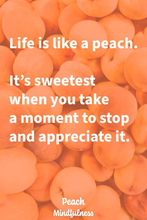 It's so true. Our founder, Quyen Balter, named Peach Mindfulness while eating a peach at a mindfulness retreat. Peach is the world's first intelligent meditation guru powered by AI technology. Peach Quotes, Peach Quote, Mindfulness Retreat, Happy Birthday Wishes For A Friend, Appreciate Life, Mindful Living, Mindfulness Quotes, Happy Birthday Wishes, So True