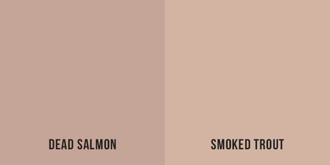 Dead Salmon Farrow And Ball, Dead Salmon, Red Sandstone, Smoked Trout, Farrow And Ball, Farrow Ball, Paint Colors, Google Search, Hotel