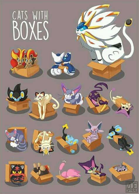 Who ever made this is stupid because Solaron is not a cat he is a WOLF get it right Sun Pokemon, Pokemon Kanto, Cat Pokemon, Kartu Pokemon, Lucario Pokemon, Pokemon Mew, Mega Pokemon, Pokemon Eeveelutions, Images Kawaii