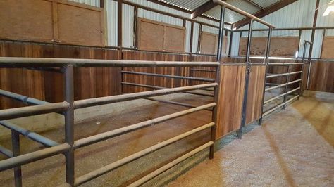 Horse 10x12 stalls Horse Stall Fronts, Miniature Horse Stalls, 4 Stall Horse Barn, 2 Stall Horse Barn With Tack Room, Stall Fronts Horse, Equine Stables, Pole Barn Designs, Livestock Barn, Barn Layout