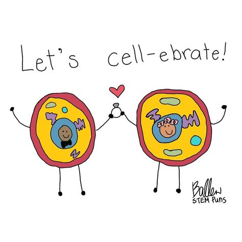 This is available as a card from my Etsy shop: https://www.etsy.com/ca/listing/702279219/wedding-engagement-celebration-funny  #stem #nerd #cute #wedding #weddingcard #biology #sciencepun #sciencememe #biomeme Biology Puns Science Jokes, Happy Teachers Day Card Biology, Science Puns Biology, Biology Valentines Cards, Biology Birthday Card, Biology Quotes Funny, Biology Quotes Inspiring, Biology Funny Science Jokes, Biology Party