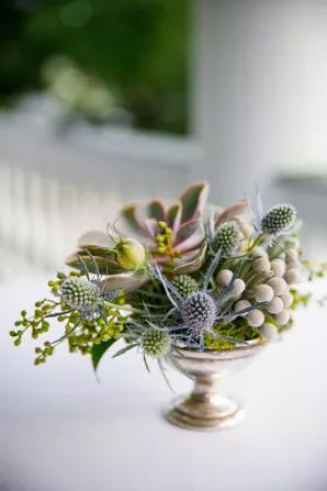 Thistle Centerpiece, Silver Brunia, Plant Centerpieces, Charleston Sc Wedding, Wedding Reception Flowers, Succulent Centerpieces, Authentic Wedding, Reception Flowers, Colorful Bouquet