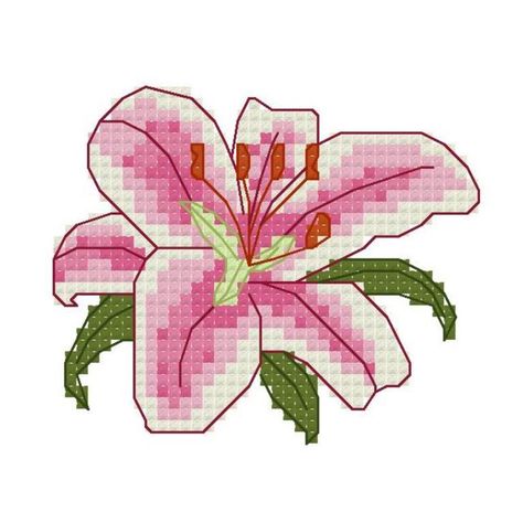 Stargazer Lily Flower Cross Stitch pattern on Craftsy.com