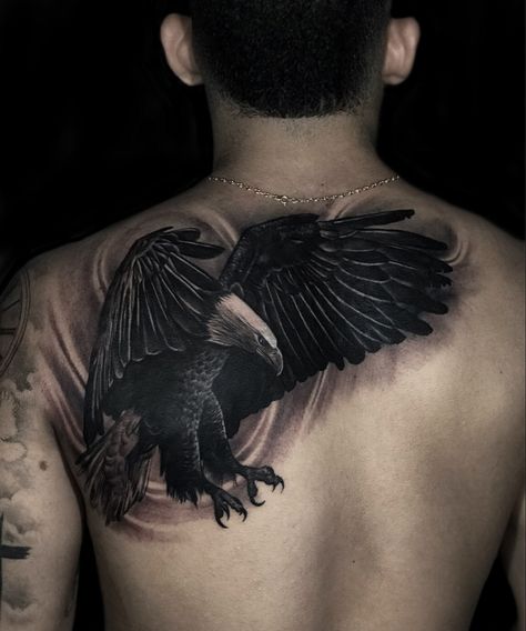 Tatuaje covertura aguila Instagram: @denilsonink Tatuaje Cover Up, Eagle Tattoo, Tattoo Cover Up, Cover Up Tattoo, Tattoo Cover, Up Tattoos, Bukowski, Back Tattoo, Tattoo Design