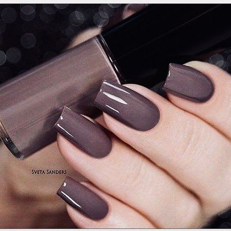 Neutral Nail Polish Colors, Nail Paint Shades, Brown Nail Polish, Brown Nail, Makijaż Smokey Eye, Cat Kuku, Manicure Y Pedicure, Classy Nails, Nail Paint