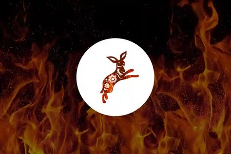 Fire Rabbit: 360-degree View of Chinese Zodiac Sign Fire Rabbit Fire Rabbit Tattoo, Fire Rabbit Tattoo Chinese Zodiac, Rabbit Zodiac Sign, Fire Rabbit, Zodiac Sign Personality, Earth Rabbit Chinese Zodiac, Fire Rabbit Chinese Zodiac, Year Of Rabbit Chinese Zodiac, All About Rabbits