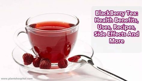 Blackberry-tea-benefits Blackberry Tea Benefits, Cinnamon Tea Benefits, Blackberry Tea, Tea For Colds, Tea Health, Cinnamon Tea, Tea Health Benefits, Eye Pigments, Healthy Eyes