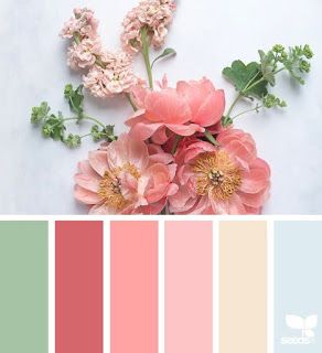 2/24/18 Design Seeds Color Palette, Seeds Color Palette, Seeds Color, Flora Design, Color Schemes Colour Palettes, Shades Of Peach, Peach And Green, Color Palate, Design Seeds