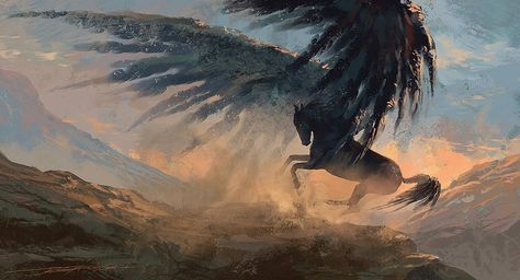 Art of Jacek Irzykowski: Speed painting - Black Pegasus Pegasus Aesthetic, Pegasus Painting, Speed Wallpaper, Black Pegasus, Horse With Wings, Pegasus Art, Fantasy Horses, Photoshop Textures, Horse Drawings