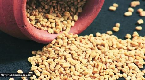 Here’s why you should start your day with fenugreek seeds or methi water Fenugreek Seeds For Hair Growth, Seeds For Hair Growth, Home Remedies For Fever, Fenugreek Benefits, Methi Seeds, Sugar Level, Uric Acid, Fenugreek Seeds, For Hair Growth