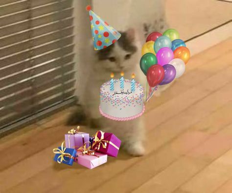 Silly Happy Birthday, Cat Birthday Wishes, Happy Birthday Doodles, Funny Birthday Meme, Birthday Icon, Happy Birthday Greetings Friends, Happy Birthday Template, Cat Birthday Card, Happy Birthday My Love