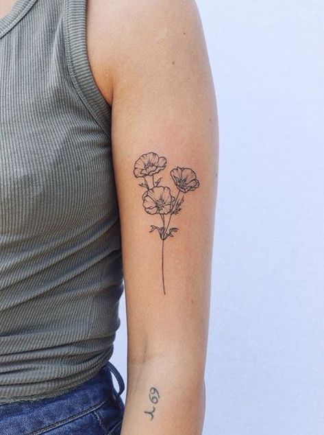 160+ Best Carnation Flower Tattoo Designs With Meanings (2021) Poppy Tattoo With Words, 3 Poppy Flower Tattoo, Small Poppies Tattoo, Poppy’s Tattoo, 3 Poppies Tattoo, Posey Flower Tattoo, Prickly Poppy Tattoo, Three Poppy Flower Tattoo, Mexican Poppy Tattoo