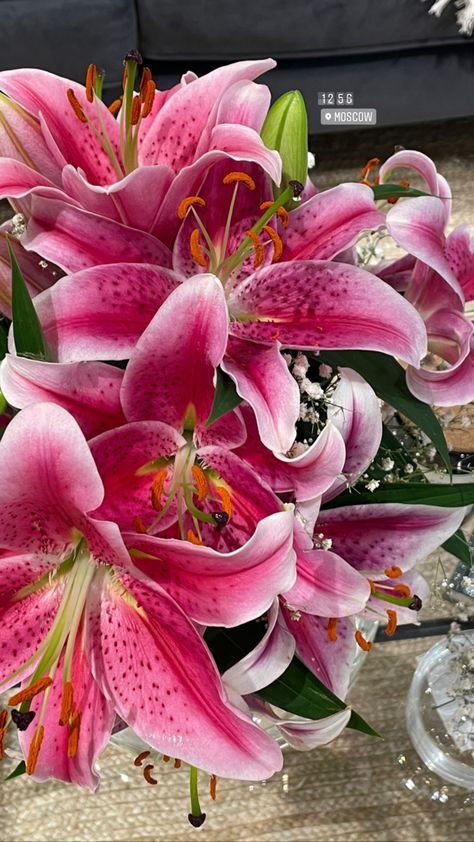 Instagram Story Inspiration, Pink Lilies, Pink Lillies, Boquette Flowers, Stargazer Lily, Nothing But Flowers, Flower Landscape, Favorite Flower, Flower Therapy