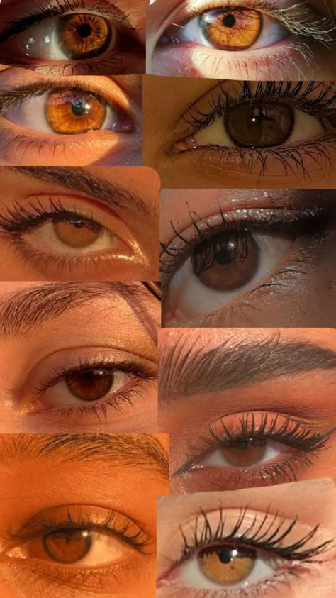 Whether you have a date, a special occasion, or simply looking for gorgeous eye makeup ideas to make you glow, make sure to have an eyeshadow palette that will help you achieve the look. When I got… Brown Eye Types, Cognac Brown Eyes, Pretty Eyes Brown, Hazel Brown Eyes Aesthetic, Types Of Brown Eyes, Russet Brown Eyes, Dark Amber Eyes, Chestnut Brown Eyes, Gold Brown Eyes