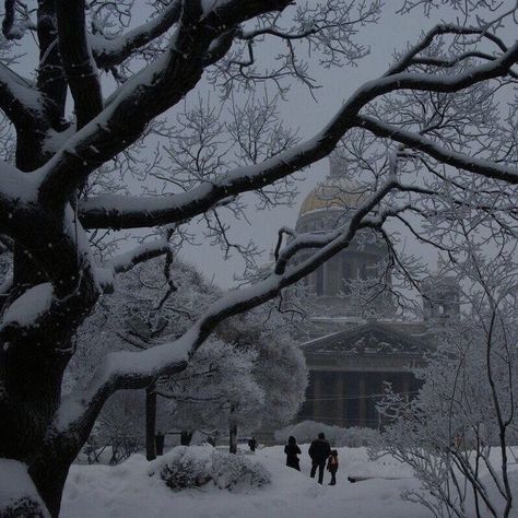 I Love Winter, Winter Scenery, Snowy Day, Best Seasons, 영감을 주는 캐릭터, Winter Aesthetic, Christmas Aesthetic, Pretty Places, Winter Time