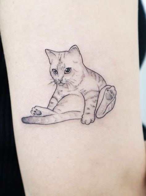 Rate This Cute Cat Tattoo 1 to 100 #tattoo #tattoos #smalltattoos #amazingtattoo #beautifultattoos #watercolorTattoo #InspirationalTattoos #ArtTattoo #NeonTattoo #CoolTattoos #TattooDrawings #BodyArtTattoo #Tattoo Sketches #FootTattoos #CelestialTattoo Greek Cat Tattoo, Cat Tattoo Tabby, Creative Cat Tattoo, Sleepy Cat Tattoo, Tabby Cat Tattoo Simple, Orange Cat Tattoo Simple, Cat Tattoo Men, Cat Tattoo Portrait, Three Cats Tattoo