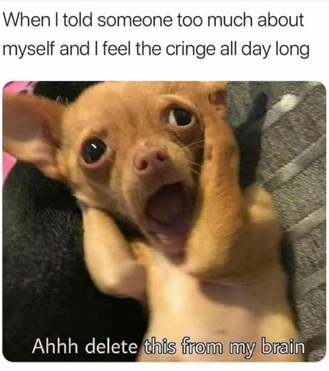 Rise And Shine With Fresh Animal Memes (December 5, 2021) - I Can Has Cheezburger? Sarcastic Face, Funny Share, Dark Sense Of Humor, Memes Sarcastic, Spongebob Memes, Sarcastic Quotes Funny, Funny Animal Memes, Daily Memes, Dog Memes