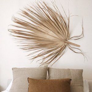 Mexican Fan Palm, Palm Leaf Decor, Large Vases Decor, Large Floral Arrangements, Large Fan, Fan Palm, Dry Plants, Leaf Decor, Leaf Nature