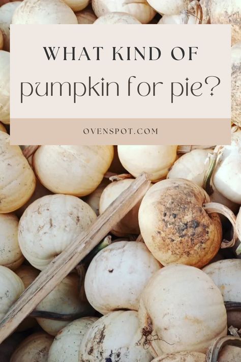 What are the best types of pumpkins for your pumpkin pie recipe? Click to learn which varieties will make your dessert a Thanksgiving hit. Dive into recipes that bring out the sweet and spicy flavors you love. Pumpkin For Pie, Types Of Pumpkins, Perfect Pumpkin Pie, Types Of Pie, Pumpkin Varieties, One Pot Cooking, Slow Cooker Lamb, Pumpkin Pie Recipe, Culinary Techniques