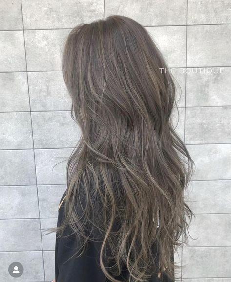 Ashy Brown Grey Hair, Purple Hair With Grey Highlights, Ash Gray Asian Hair, Ash Brown Light Hair, Ash Brown Hair With Dark Roots, Light Brown Silver Hair, Milk Tea Grey Brown Hair, Light Brown Gray Hair, Ashy Brown Hair Curly