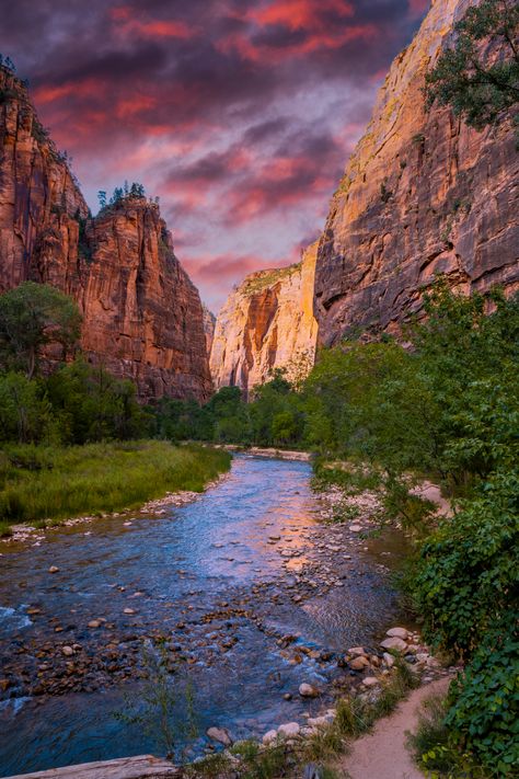 15 Best Things To Do in Zion National Park - The Wandering Queen Joyce Aesthetic, Riverside Walk, National Parks Photography, National Park Photos, National Park Road Trip, Cedar City, Sequoia National Park, Utah National Parks, Olympic National Park