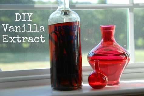 One Creative Housewife: DIY Vanilla Extract Diy Vanilla Extract, Diy Vanilla, Cheap Vodka, Make Vanilla Extract, Barefoot Contessa Recipes, Vanilla Extract Recipe, Madagascar Vanilla Beans, Homemade Vanilla Extract, Ina Garten Recipes