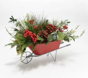 Farmhouse Decor — Valerie Parr Hill — For the Home — QVC.com Christmas Wheelbarrow, Wheelbarrow Decor, Sleigh Decorations, Christmas Wagon, Christmas Sleigh Decorations, Outdoor Christmas Planters, Wheel Barrow, Christmas Centers, Owl Wreaths