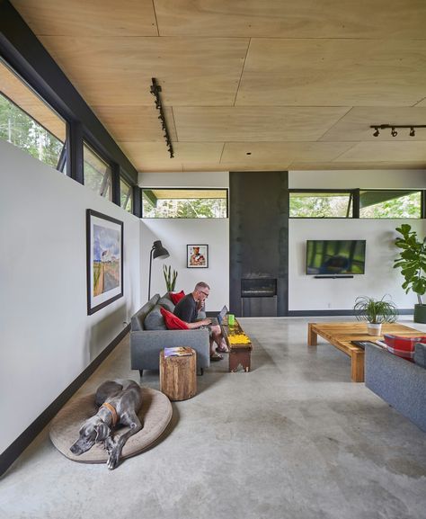 Industrial Track Lighting, Plywood Ceiling, Olson Kundig, Mid Century Modern Lighting, Wooden Ceilings, Concrete Floor, Seattle Washington, Concrete Floors, Living Room Lighting