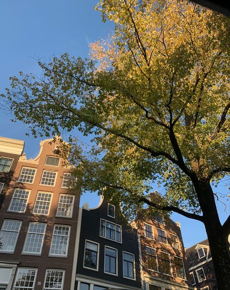 Amsterdam Autumn Aesthetic, Amsterdam Lifestyle, Lisbon Summer, Amsterdam Autumn, Amsterdam Fall, Netherlands Aesthetic, 2024 Energy, City Aesthetics, Summer Moodboard