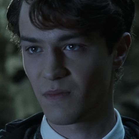 Tom Riddle Smiling, Tom Riddle Icon, Tom Riddle Aesthetic, Riddle Aesthetic, Tom Marvolo Riddle, Christian Coulson, Young Tom Riddle, Tom Hughes, The Chamber Of Secrets