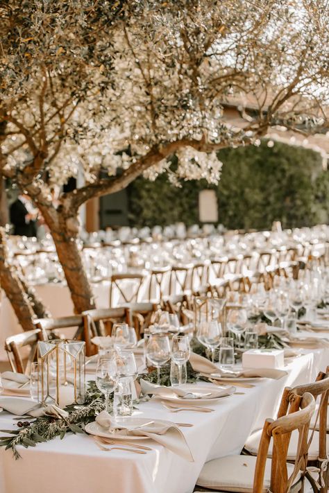 Viansa Sonoma | Magical and Rustic Fairytale Wedding at Viansa Sonoma in Sonoma, CA | PartySlate Rustic Fairytale Wedding, Winter Wedding Nails, Rustic Ceremony, California Winery Wedding, Winter Wedding Destinations, Winery Wedding Venues, Berries And Cream, Reception Layout, California Winery