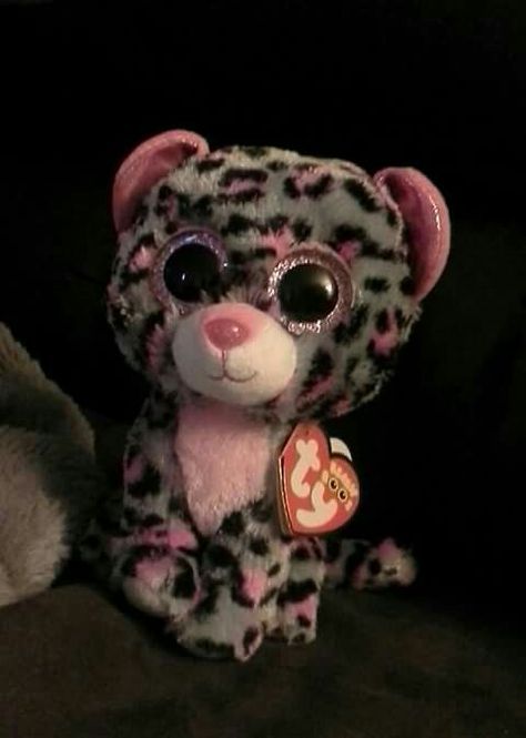 Ty Teddies, Beanie Boos Aesthetic, Ty Plushies Aesthetic, Beanie Boo Accessories, Beanie Boo Dogs, Baby Snow Leopard, Clouded Leopard, Beanie Buddies, Ty Beanie Boos