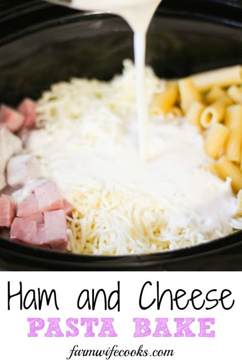 Are you looking for an easy crock pot meal? This Ham and Cheese Pasta Bake is the perfect, kid-friendly weeknight meal! #easymeal #pasta Kid Friendly Crockpot Recipes, Ham And Cheese Pasta, Slow Cooker Ham Recipes, Cheese Pasta Bake, Kid Friendly Meals Dinner, Bake Cheese, Crockpot Ham, Butter Pasta, Best Pasta Recipes