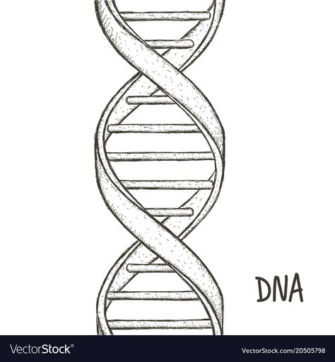 Dna Symbol, Dna Drawing, Dna Tattoo, Dna Helix, Dna Model, Flower Graphic Design, Abstract Words, Stencil Pattern, Drawing Easy