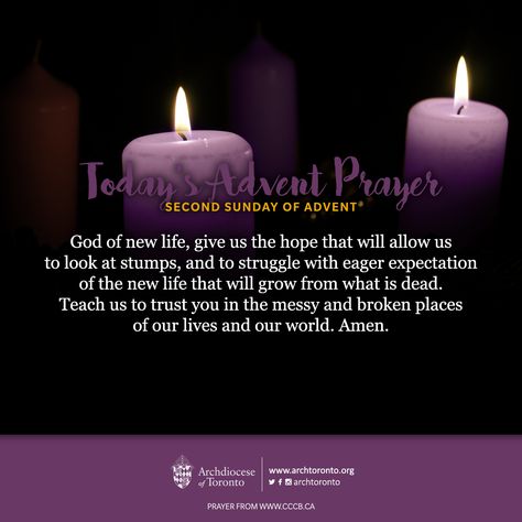 Second Sunday Of Advent Peace, Second Week Of Advent Prayer, 2nd Sunday Of Advent Candle, Advent Prayers Catholic, 2nd Sunday Of Advent, Second Week Of Advent, Advent Village, Second Sunday Of Advent, Advent Catholic